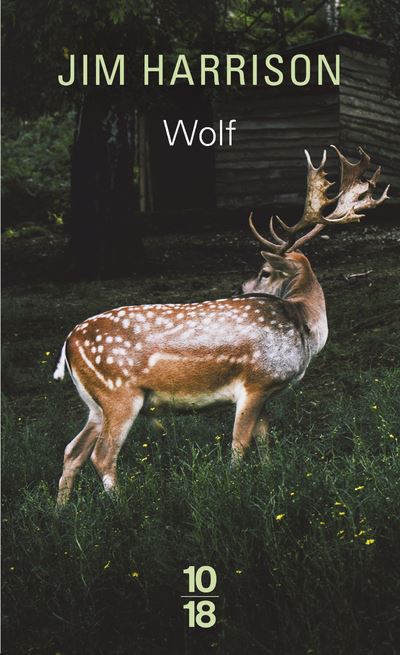 Wolf