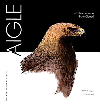 L-aigle