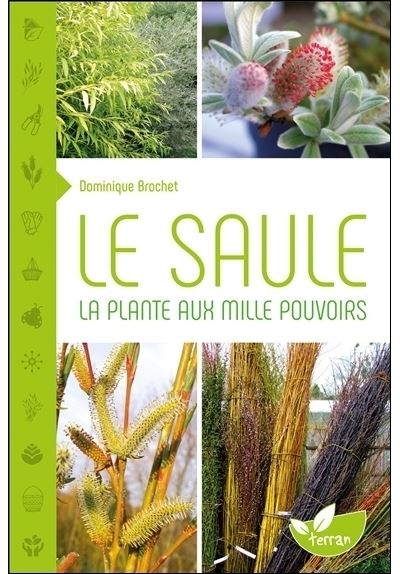 Le-Saule-La-plante-aux-mille-pouvoirs