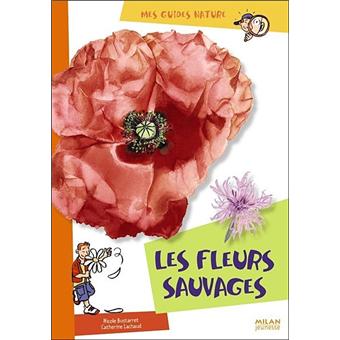 Les-fleurs-sauvages
