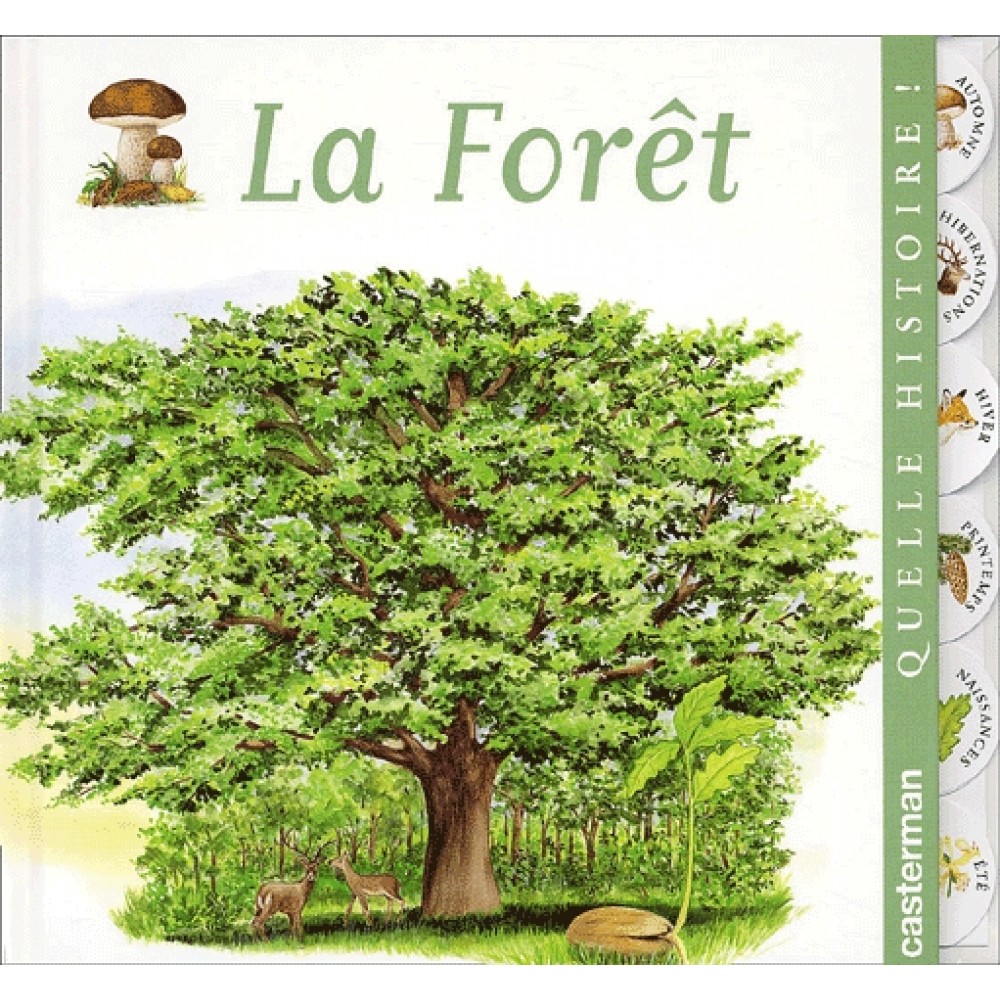 la-foret-9782203152298_0