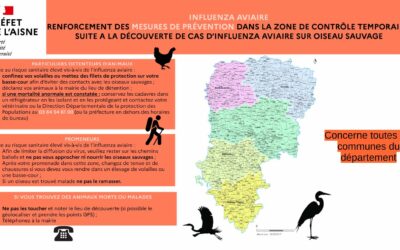 Mesures de biosécurité pour lutter contre l’influenza aviaire