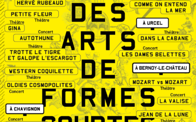 Festival des Arts de Formes Courtes – Du 4 octobre au 22 novembre 2024