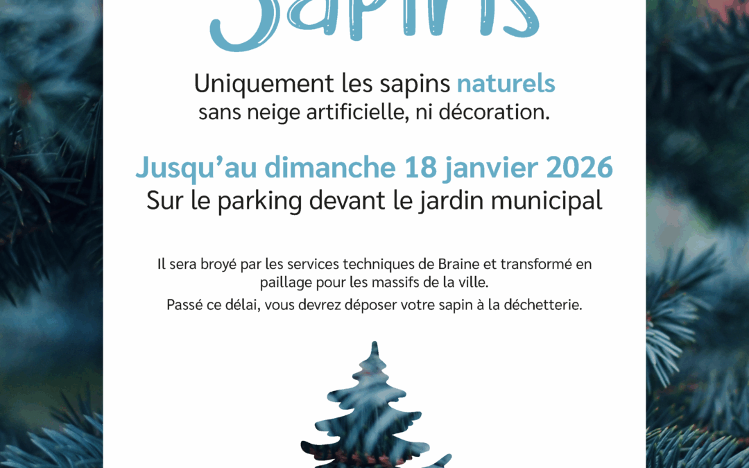 Collecte de sapins – Janvier 2026