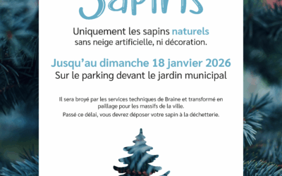 Collecte de sapins – Janvier 2026